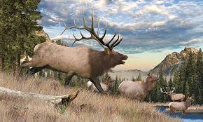 Wildlife Art Fearsome Challenge Elk Painting Wildlife Prints Hunting Art Wildlife Art