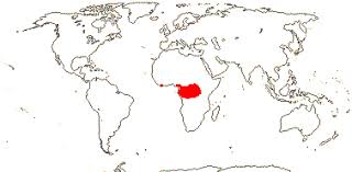 Image result for Thomandersiaceae