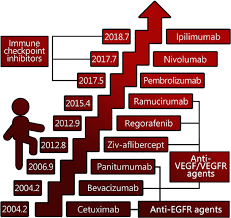 5 ﻿ however, a 2017 study found survival rates for those with stage 4 colon cancer that metastasized to the liver and were candidates for removal of the liver metastases at the same time as colon surgery improved to up to 70% 6 ﻿. Comprehensive Review Of Targeted Therapy For Colorectal Cancer Signal Transduction And Targeted Therapy