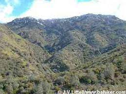 Mount Diablo Hiking Trails Bay Area Hiker: Mount Diablo State Park
