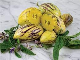 Pin On Mini Veg Seeds