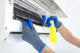If you dust or vacuum away dust, dirt, pollen and other organic materials, you can starve any mold that begins growing. Does An Air Conditioner Kill Mold Ac Repair Installation Savannah