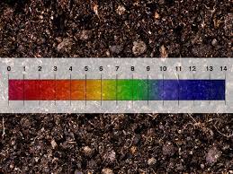 We did not find results for: What Is The Optimum Soil Ph For Plants Deep Green Permaculture