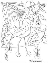A beautiful flamingo coloring page of a variety of bird designs in a different styles. Free Flamingo Coloring Pages For Download Pdf Verbnow