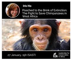 📢 On Jan 27, hear PASA's head of conservation, Iris Ho, discuss chimpanzee  trafficking