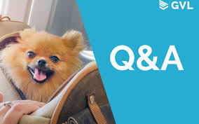 Accountability and follow through will also be discussed. Q A From International Pet Travel 101 Webinar Gvl