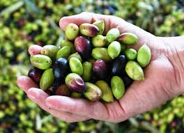 Handful Of Olives Olive Oil And Vinegar Infused Olive Oil Olive
