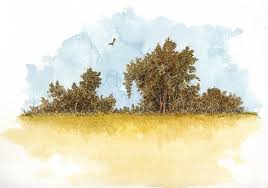 Fields Of Clovis Interesting Drawings Painting Art