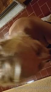 Watch online Kimber711 aka kimber711 - 09-15-2020 OnlyFans Video - Ejac  buccal sur un balcon pendant le voisin matte un film de cul on X-video