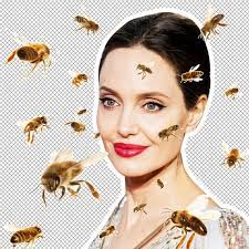 Watch angelina jolie joke about the single life while gushing over her cool kids. Oktciiqztajdhm