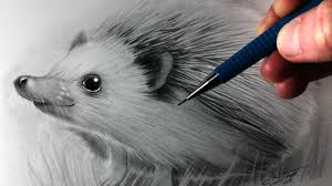 Colored pencil animals how to draw a horse in with mark menendez artists network. How To Draw A Hedgehog Realistic Drawings Realistic Animal Drawings Animal Drawings