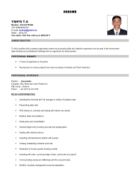 yahya accountant uae cv