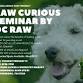 Raw Curious Seminar