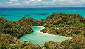 Sheep, stunning scenery, māori culture, and, of course, being with incredible swells and waves, piha is arguably new zealand's most famous surfing beach. Where S Your Favourite Beach In New Zealand Stuff Co Nz