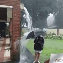 Funny Rain Gifs Tenor The perfect wind umbrella storm animated gif for your conversation.
