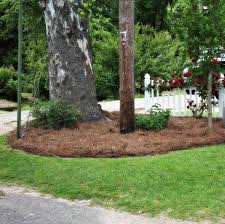 Pine straw has a fine texture and uniform color that is aesthetically pleasing in the landscape. Pine Straw Jacksonville Fl Bulk Delivery