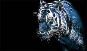 45 Cool Backgrounds Jpeg Png Animal Wallpaper Tiger Wallpaper Hd Wallpapers For Laptop