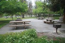Archer Grove Kelley Park Kelley Park Park California Parks
