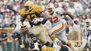 Former Packers running back indicted in federal dog fighting bust; 190 pit bulls recovered
