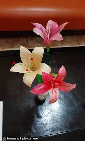 Ada juga model bunga yang kedua, jika pada yang pertama adalah bunga cempaka dari kulit jagung. Bunga Dari Kulit Jagung Desain Kerajinan Tangan Barang Aksesoris Kerajinan Di Carousell