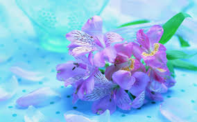 Jedes bild kann in fast jeder auflösung heruntergeladen werden, um sicherzustellen, dass es mit ihrem gerät ganz gut funktioniert. Blumen Live Wallpaper Fur Android Apk Herunterladen