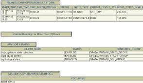 Health Check Report Template 3 Professional Templates