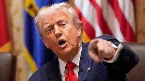 Pura Neve East Indian Sanskruti': First East Indian Marathi Musical In 14  Years Draws Packed Houses