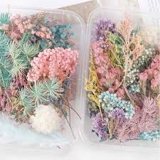 Gather up some different types of flowers that are small enough for the card and good enough to press. Real Pressed Flower Leaf Dried Daisy Flower Resin Flower Dry Beauty Nail Art Decals Epoxy Mold Fillings Jewelry Making Jewelry Tools Equipments Aliexpress