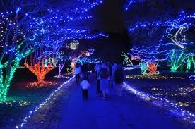 10 Christmas Light Displays In Virginia That Are Pure Magic Sandbridge Beach Virginia Sandbridge Beach Virginia Beach Rentals