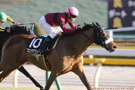 Feb 13, 2021 · no.1競馬サイト「netkeiba.com」がクイーンカップ(g3).2021年2月13日東京の競馬予想・結果・速報・日程・オッズ・出馬表・出走予定馬・払戻・注目馬・見どころ・調教・映像・有力馬の競馬最新情報をお届け！ ã‚¯ã‚¤ãƒ¼ãƒ³ã‚¹ãƒ†ãƒ¼ã‚¯ã‚¹2019ã®ç«¶é¦¬äºˆæƒ³åˆ†æž 4ã¤ã®ãƒ‡ãƒ¼ã‚¿ã‹ã‚‰å°Žãå‹ã¡é¦¬å€™è£œ