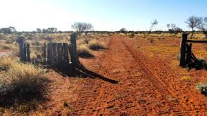 The Rabbit Proof Fence - Part I - Breaking the Cycle - Education