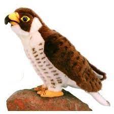 Falcon Soft Plush Toy Bird Check Out The Image By Visiting The Link This Is An Affiliate Link Plushfigures Bird Toys Bird Soft Plush