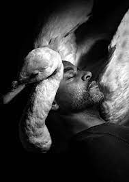 The Eternal Seductive Beauty of Feathers | The New Yorker