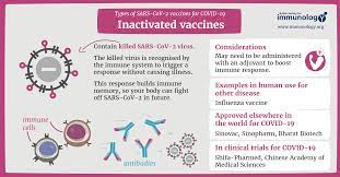 Amid blood clot concerns following the inoculation with the vaccine developed by astrazeneca (nasdaq: Types Of Vaccines For Covid 19 British Society For Immunology