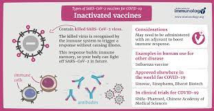 Developed by oxford university and astrazeneca, it is given by intramuscular injection, using as a vector the modified chimpanzee adenovirus chadox1. Types Of Vaccines For Covid 19 British Society For Immunology