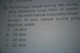 We did not find results for: Perbandingan Banyak Burung Dan Kucing Yang Dipelihara Siswa Kelas 6 Adalah 3 5 Jika Selisih Brainly Co Id