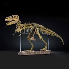 Puzzles can help kids develop fine motor skills while they exercise critical and logical thinking muscles. Buy Youdirect Dinosaur Skeleton Model Puzzles Diy Skeleton Dinosaur Toys 3d T Rex Dino Bones Puzzles For Kids And Adults Dinosaur Lovers Online In Taiwan B07x34qzpr
