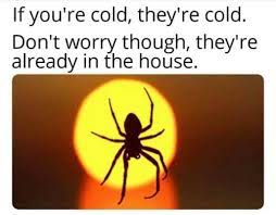 If youre cold theyre cold. Random Photo If You Re Cold They Re Cold Majorgeeks