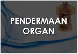 Derma organ, kuala lumpur, malaysia. Pejabat Mufti Wilayah Persekutuan Bayan Linnas Siri Ke 35 Pendermaan Organ