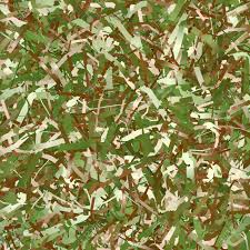 We did not find results for: Abstract Military Camouflage Background High Resolution 3d Image Stock Photo Picture And Royalty Free Image Image 33023511