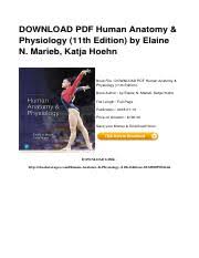 Downloadpdf anatomy and physiology coloring workbook: Human Anatomy And Physiology 11th Editio Download Pdf Human Anatomy Physiology 11th Edition By Elaine N Marieb Katja Hoehn Book File Download Pdf Course Hero