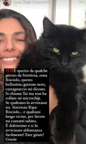 Sei di Strettoia se...