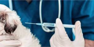 Vaccination Services @ Pearland