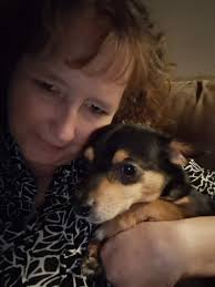 What he told the dog, when he was investigating the cd player being stole? 