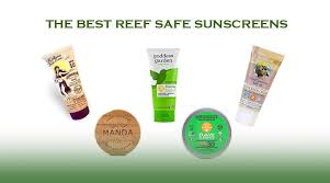 Mineral sunscreens are not absorbed into the bloodstream, whereas chemical sunscreens may reach detectable levels in the blood. Best Reef Safe Sunscreen List Eco Friendly Sun Care Brands Safe Sunscreen Sunscreen Natural Sunscreen