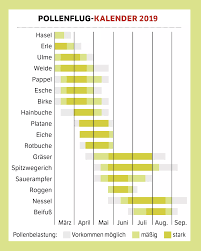 Zu beginn der pollensaison gilt deshalb: Hypersensibilitat Den Fruhling Geniessen Trotz Allergien Bunte De