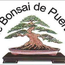 Submit your enquiry as per your sourcing needs. Rediseno En Club De Bonsai De Puerto Rico San Juan Facebook