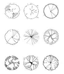 Tree Symbol In Plan Drawing Landscape Architecture Drawing Architectural Trees Architecture Drawing