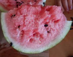 Image result for Citrullus lanatus