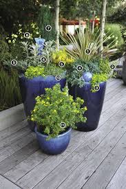 Check spelling or type a new query. Drought Tolerant Containers Finegardening